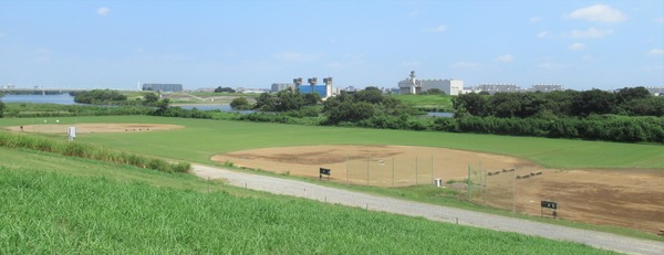 IMG_8390 (2)