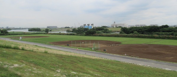 IMG_1223 (2)