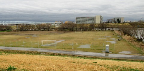 IMG_3690 (2)