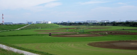 IMG_0263 (2)