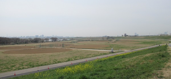 IMG_0108 (2)