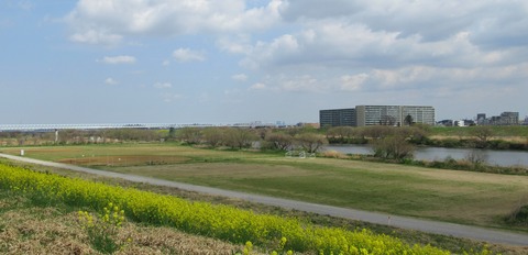 IMG_0445 (2)