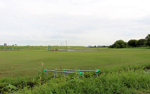 IMG_5522