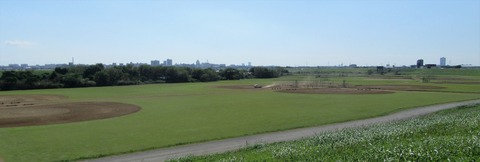 IMG_4503 (2)