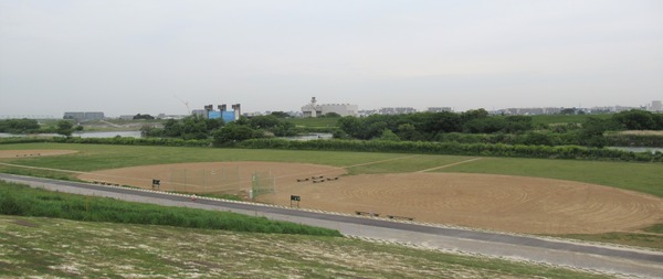 IMG_8781 (2)
