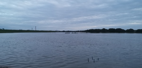 IMG_20220925_052012