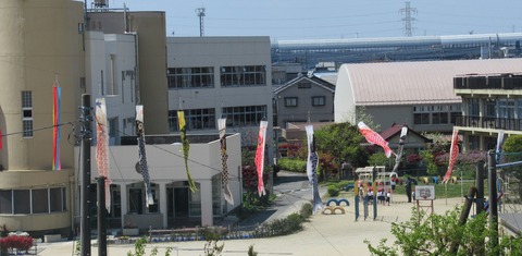 IMG_0891 (2)