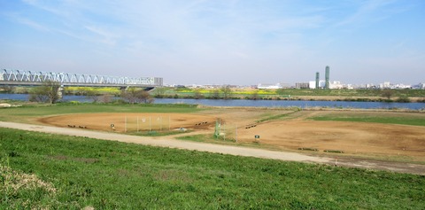 IMG_4294 (2)