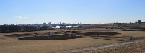 IMG_5966 (2)
