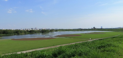 IMG_1780 (2)