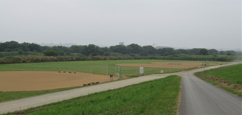 IMG_1578 (2)