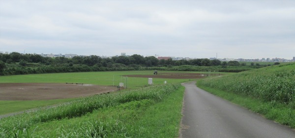 IMG_7894 (2)