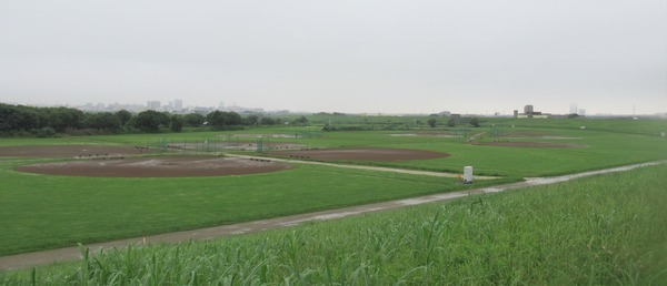 IMG_1447 (2)