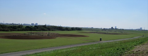 IMG_4378 (2)