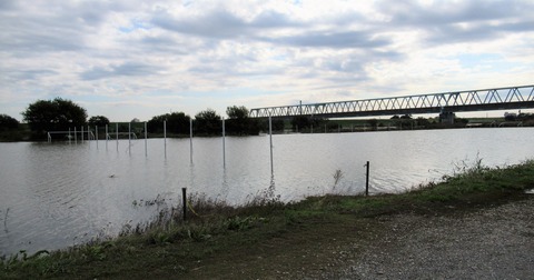 IMG_1417 (2)