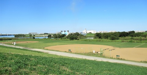 IMG_4154 (2)