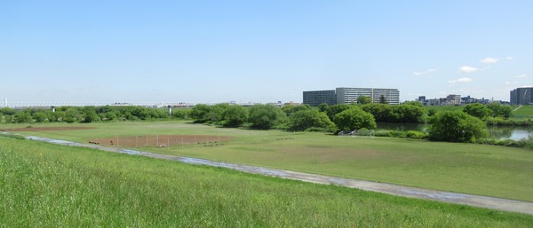 IMG_3344 (2)
