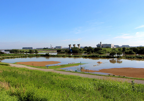 ●IMG_1258