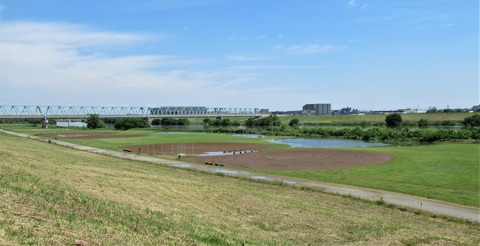 IMG_1354 (2)