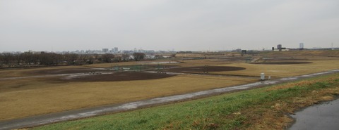 IMG_2906 (2)