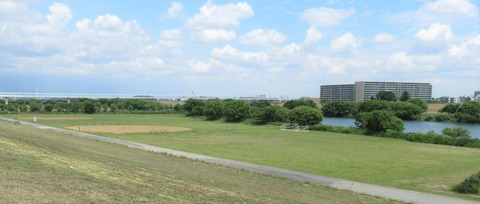 IMG_1241 (2)