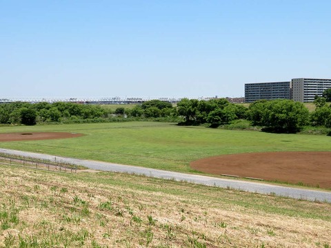31番