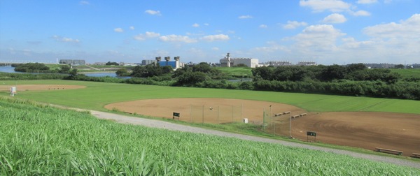 IMG_8529 (2)
