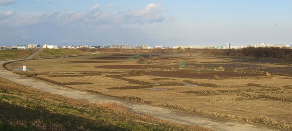 IMG_5824 (2)