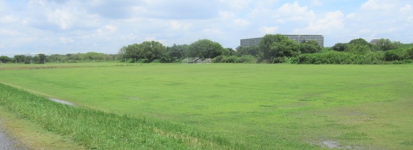 IMG_1337 (2)
