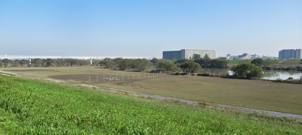 IMG_4602 (2)