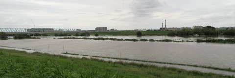 IMG_2946 (2)