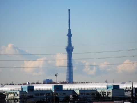 IMG_2456 (2)