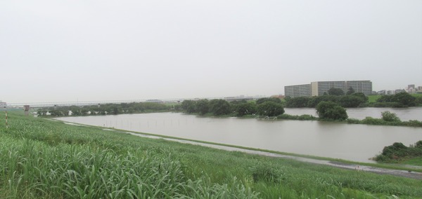 IMG_7844 (2)