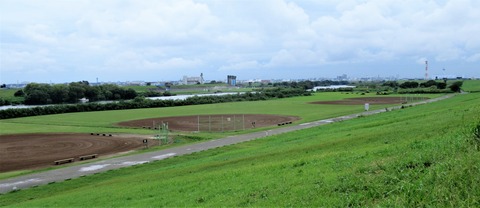 IMG_7954 (2)