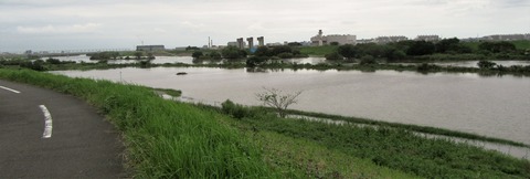 IMG_2944 (2)