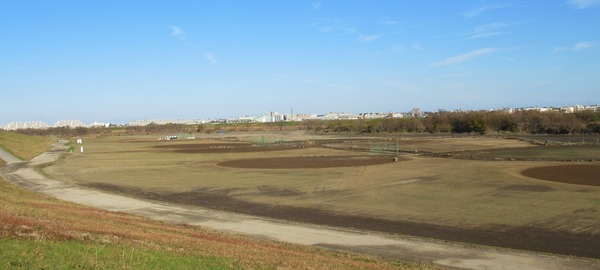IMG_5668 (2)