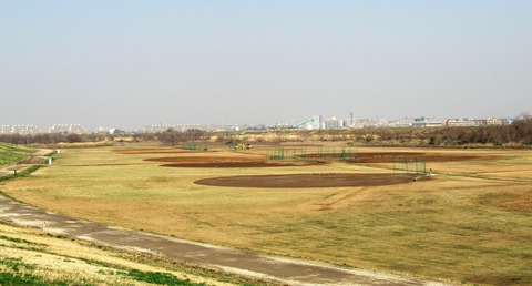 IMG_3785 (2)