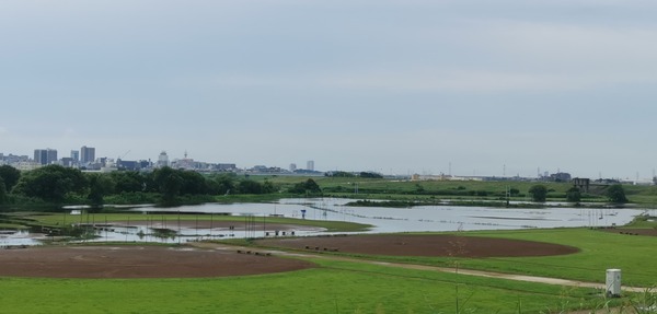 IMG_20220718_082958