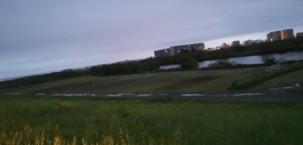 IMG_20230408_045646