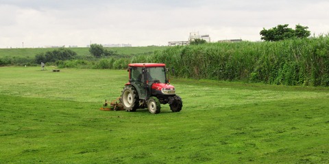 IMG_6412 (2)