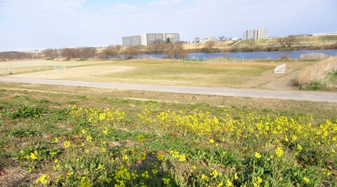 IMG_6520 (2)