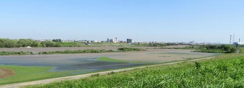 IMG_1653 (2)