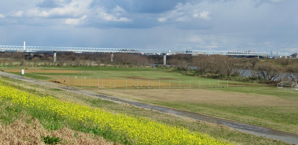 IMG_6234 (2)