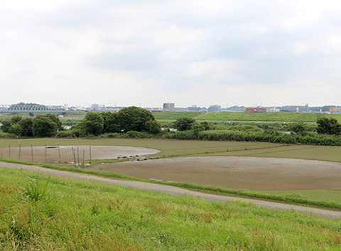 40番