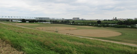 IMG_7280 (2)