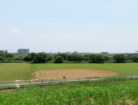 31番