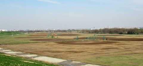 IMG_4252 (2)