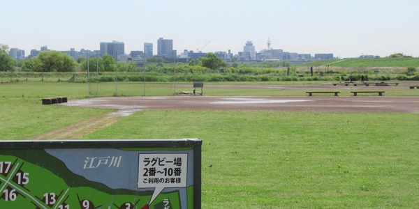 IMG_3376 (2)