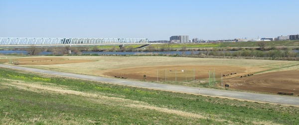 IMG_0105 (2)