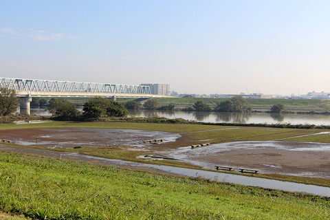 IMG_2320